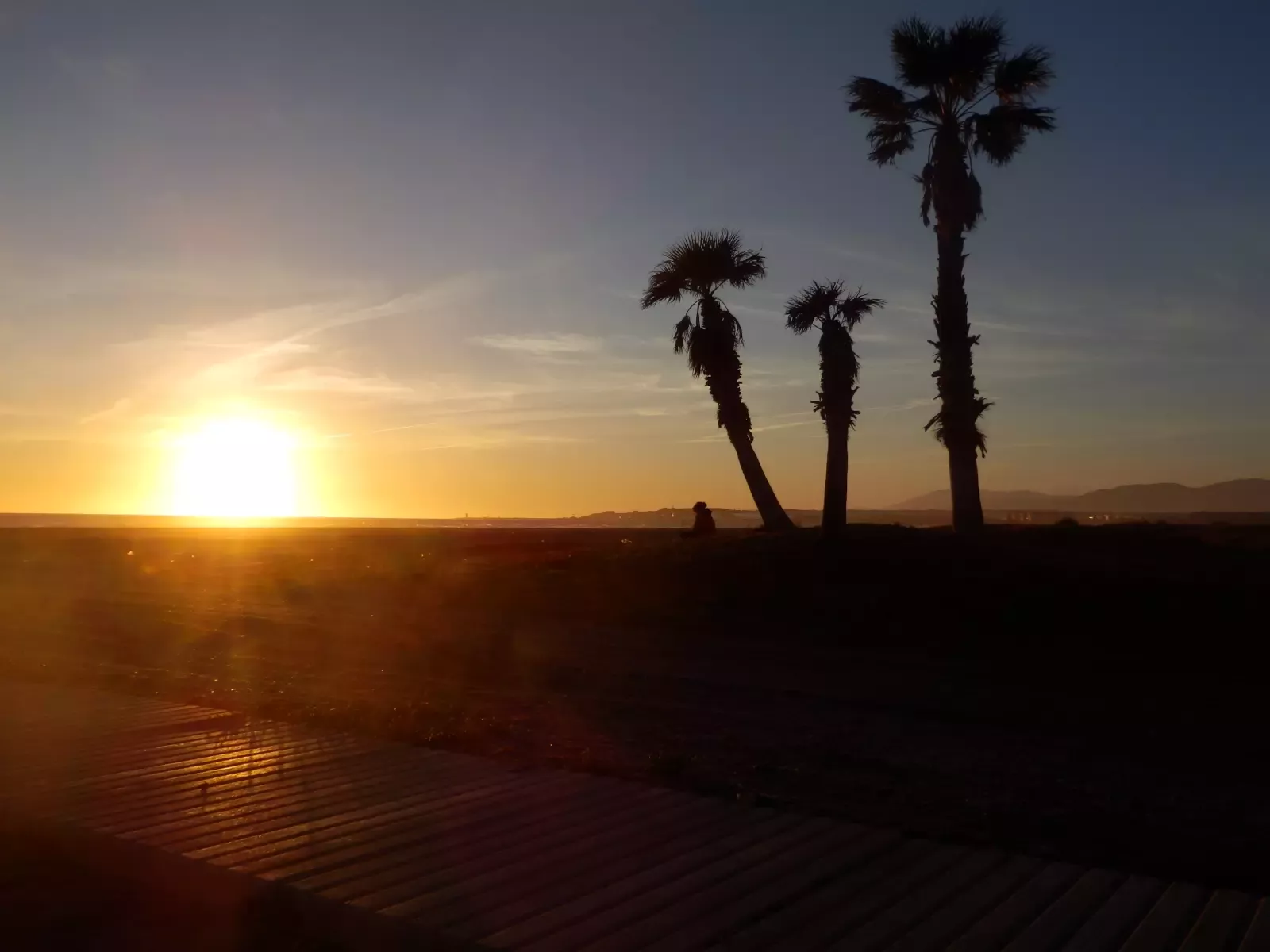 Eli en la puesta de sol