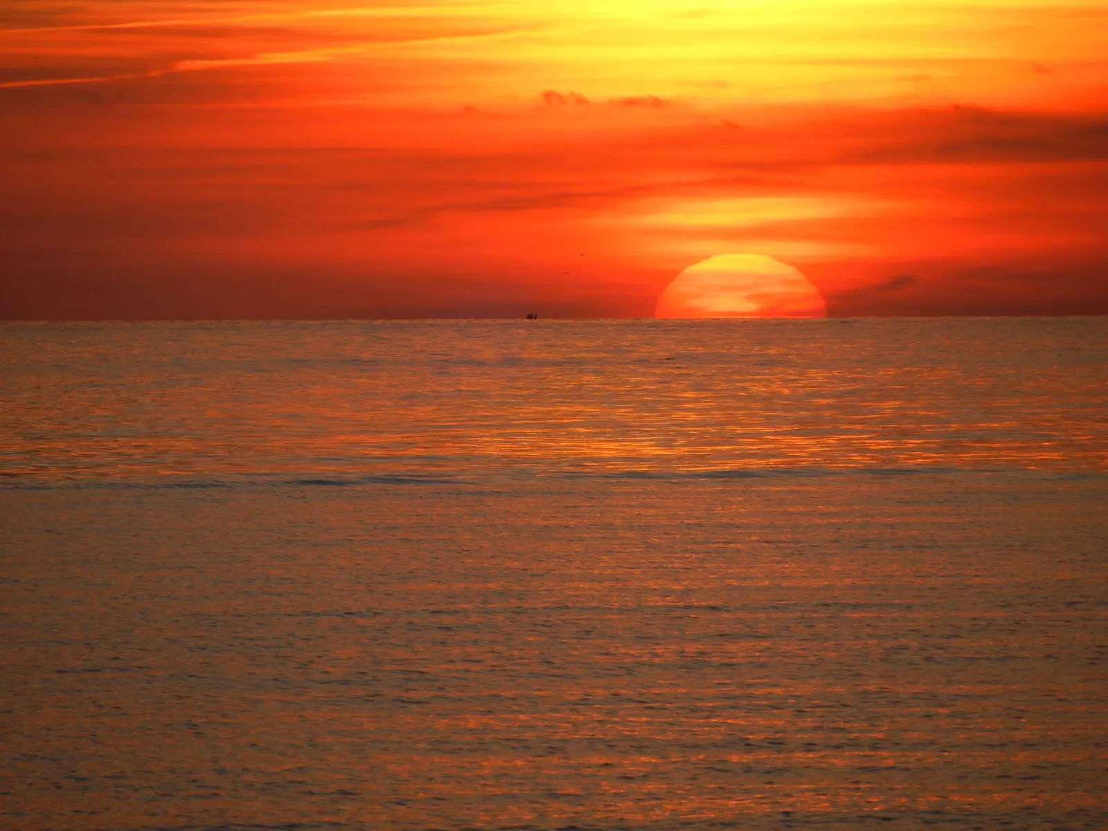 Barcon hacia el ocaso