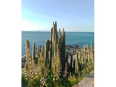Camino de Punta Almina. Camino de punta Almina, vista del Peñon de Gibraltar