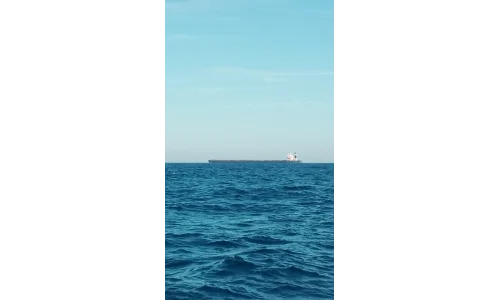 Tráfico en el camino Tráfico en el camino