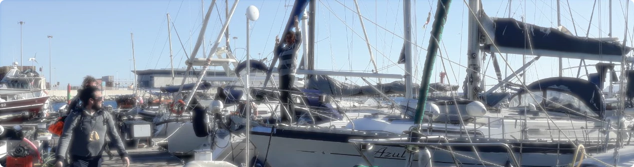 Recién llegados header-1900