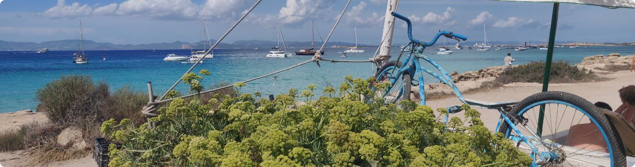 Un lugar cualquiera de Formentera Un lugar cualquiera de Formentera